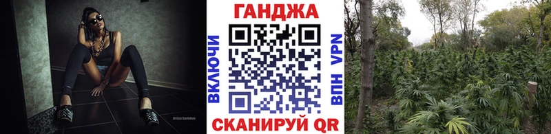 Сколько стоит Богородск Псилоцибиновые грибы Меф мяу мяу Альфа ПВП Марихуана COCAIN