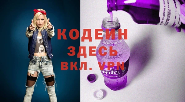 шишки Богородицк
