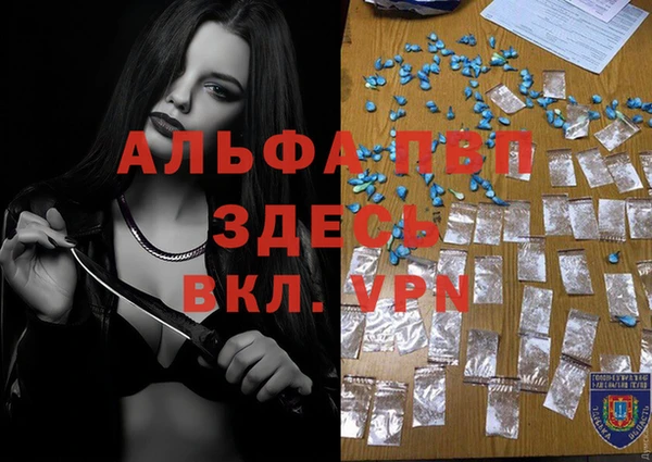 гашик Абаза