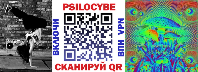 наркотики  Богородск  Псилоцибиновые грибы Psilocybine cubensis 